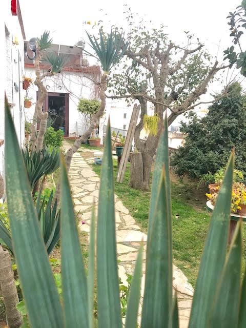 Hostal Casa Torrent Canet De Mar Eksteriør billede